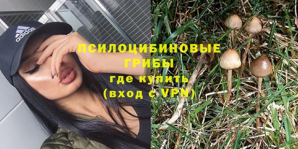 шишки Волоколамск