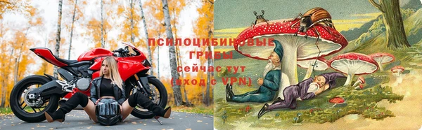 МДПВ Верея