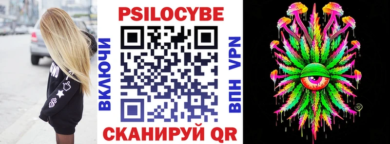 Галлюциногенные грибы Psilocybe  Камышлов 