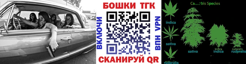 Бошки марихуана ГИДРОПОН наркошоп Камышлов